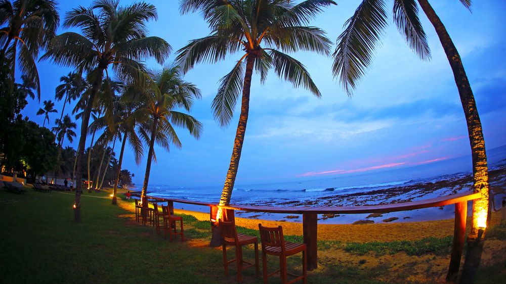 Resort Citrus Hikkaduwa